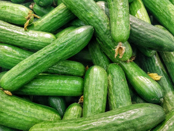Polní okurky vs. skleníkové okurky – co se vyplatí pěstovat?