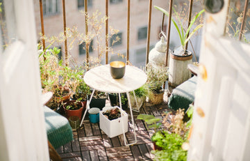 Nejlepší bylinky pro pěstování doma – balkon, terasa i parapet