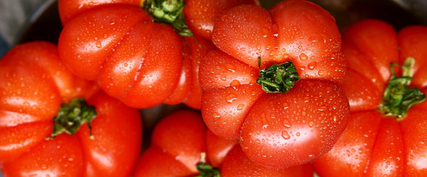Sazenice červených rajčat - SazeniceOnline