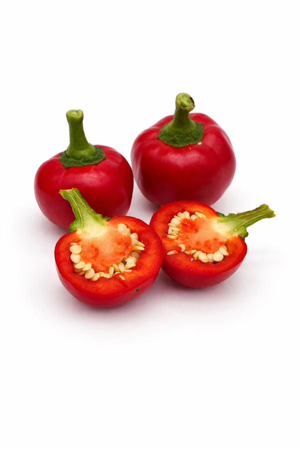 Paprika sazenice - Pálivý pepř - Paprika třešňová