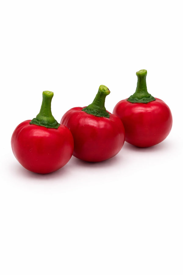 Paprika sazenice - Pálivý pepř - Paprika třešňová