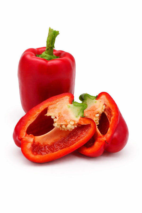 Paprika sazenice - Sladká paprika - Červená Roberta
