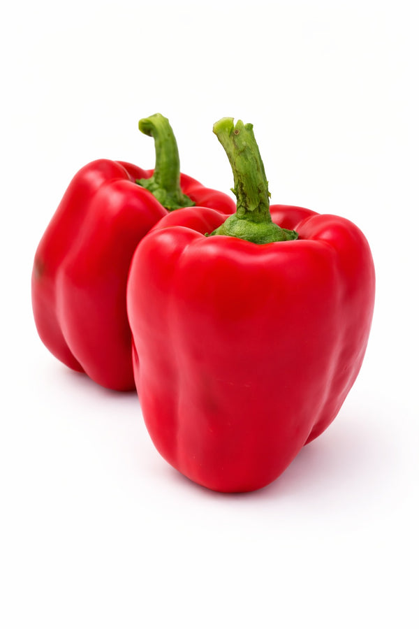 Paprika sazenice - Sladká paprika - Červená Roberta