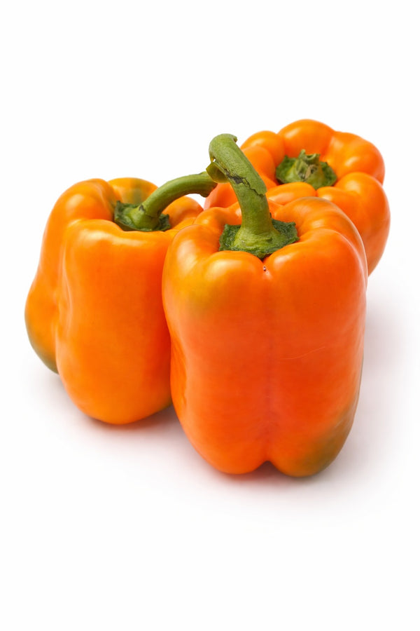 Sazenice pepře - Sladká paprika - Oranžová Kubista