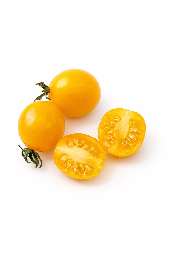 Sazenice rajčat - Koktejlová rajčata - Yellow Cherry