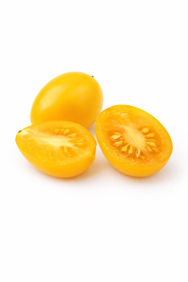 Sazenice Rajčat - Koktejlová Rajčata - Žlutá Hruška