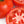 Načíst obrázek do prohlížeče galerie, Sazenice rajčat - Červené rajče - Baron F1 - SazeniceOnline

