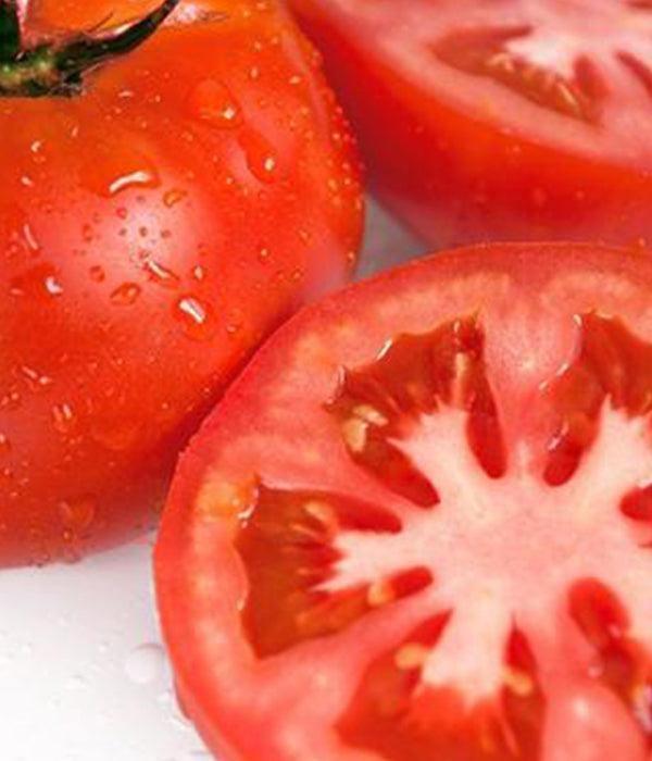 Sazenice rajčat - Červené rajče - Baron F1 - SazeniceOnline