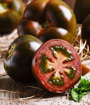 Sazenice rajčat - Černé rajče - Černý princ ( Noire de Crimee ) - SazeniceOnline